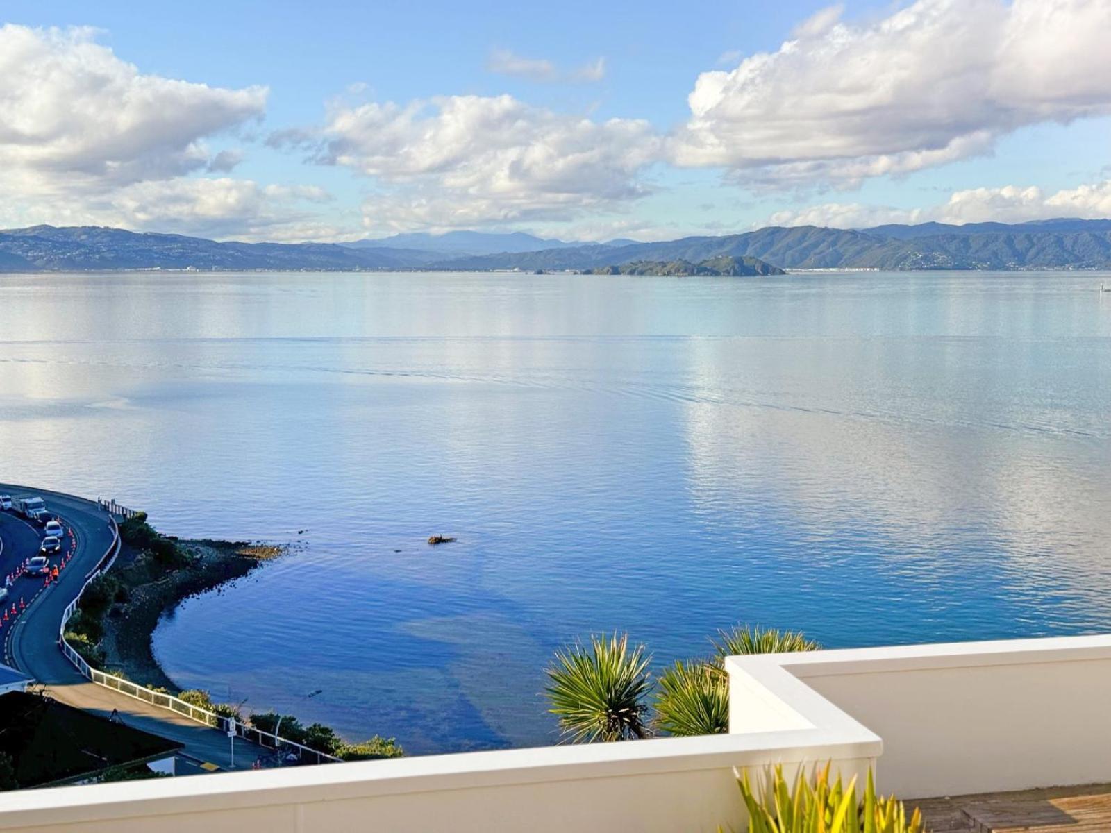 Roseneath Sea-View Haven Wellington别墅 外观 照片